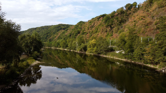 Près de 80% des Wallons veulent plus de forêts en libre évolution, selon une enquête liégeoise