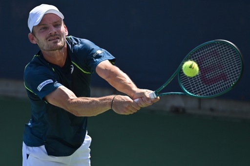 Challenger Cap Cana : David Goffin battu dès son entrée