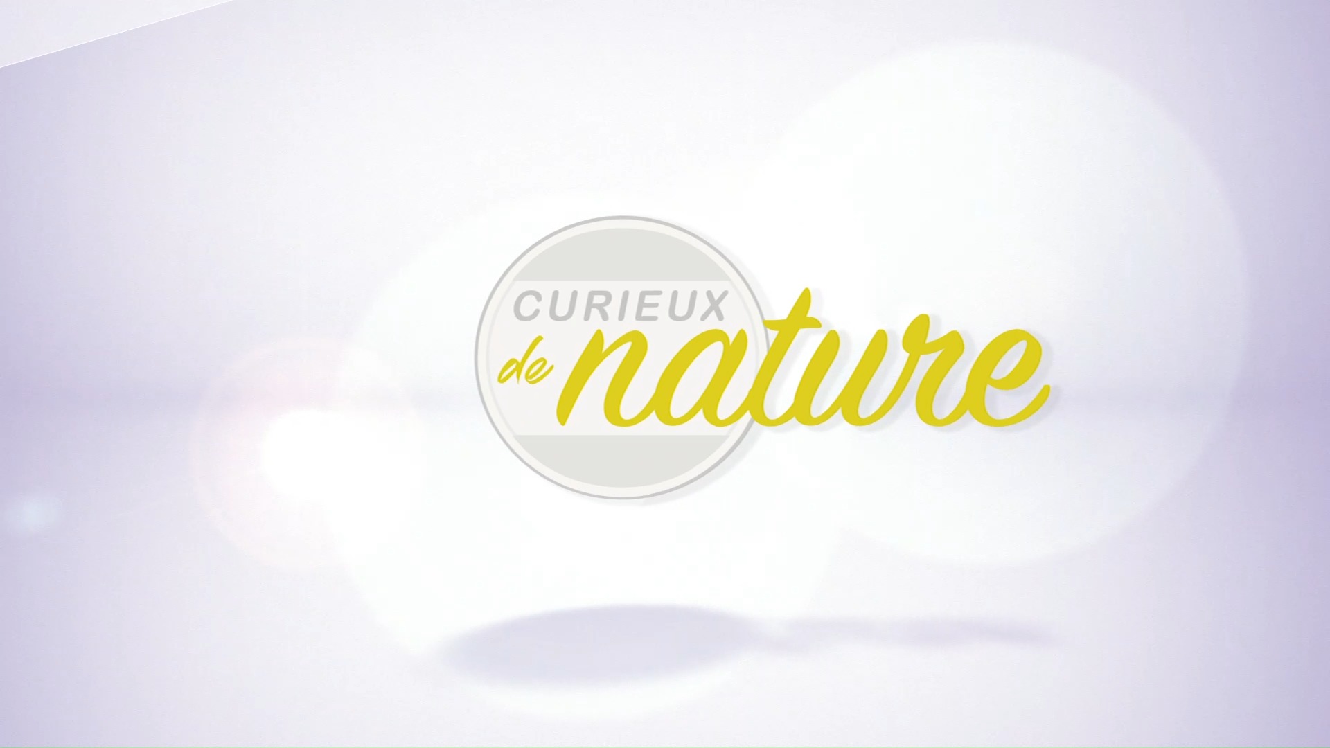 Curieux de nature