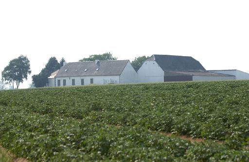 La superficie agricole bio recule légèrement, mais le consommateur wallon reste fidèle