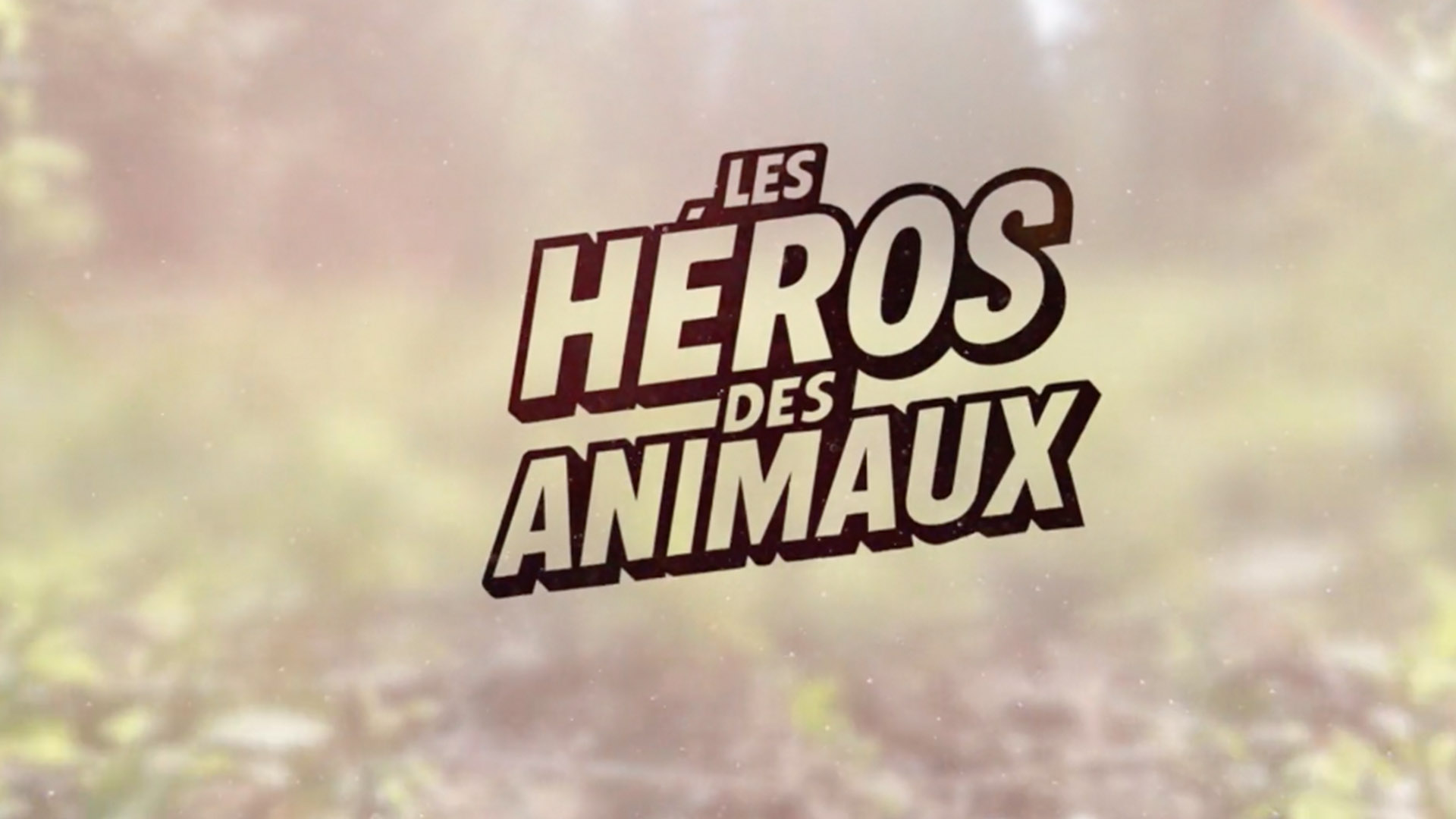 Les héros des animaux