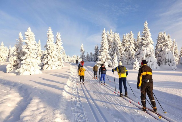 Neige : ski alpin, ski de fond, luge... les pistes sont ouvertes !