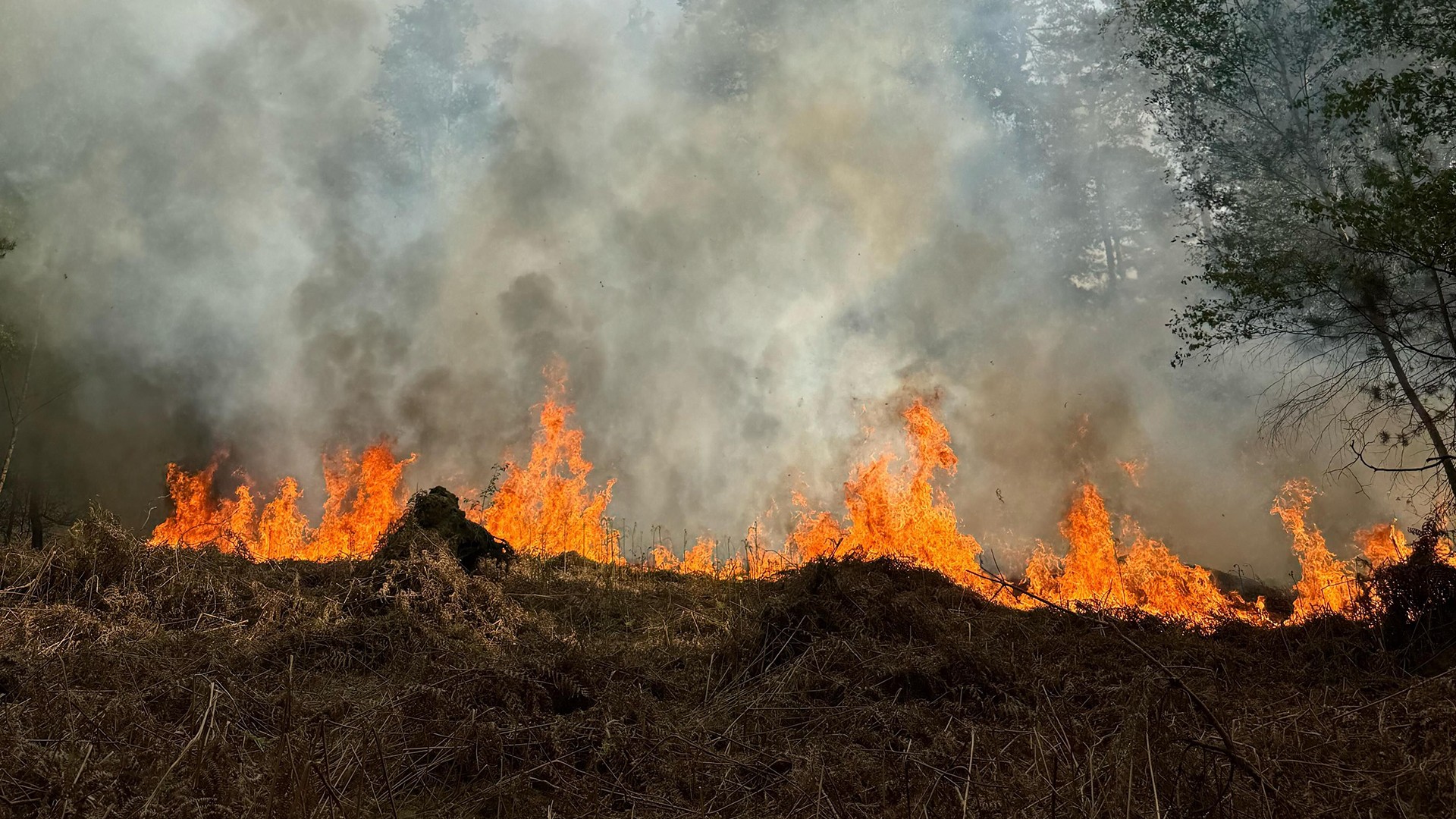 Province : interdiction de feux, barbecues et feux d'artifices
