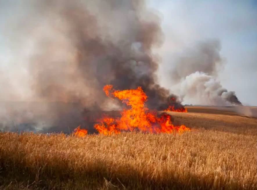 Crisnée : incendie dans les campagnes