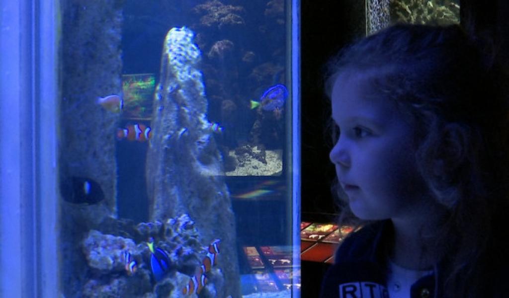 Météo changeante, bilan heureux pour l'Aquarium de Liège