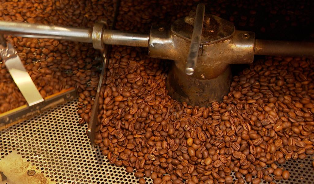 Du café 100% liégeois bientôt en dégustation