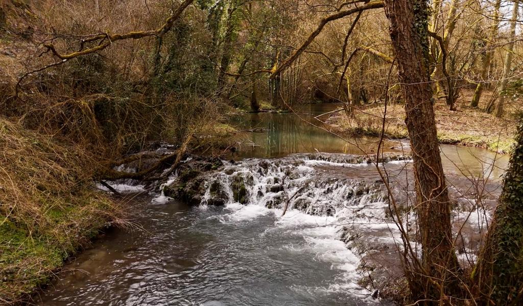 Journée mondiale de l'eau : découverte des mystères du Triffoy