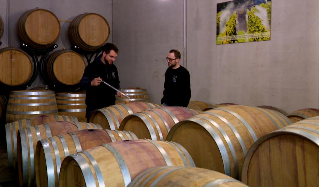 Les viticulteurs espèrent une meilleure saison