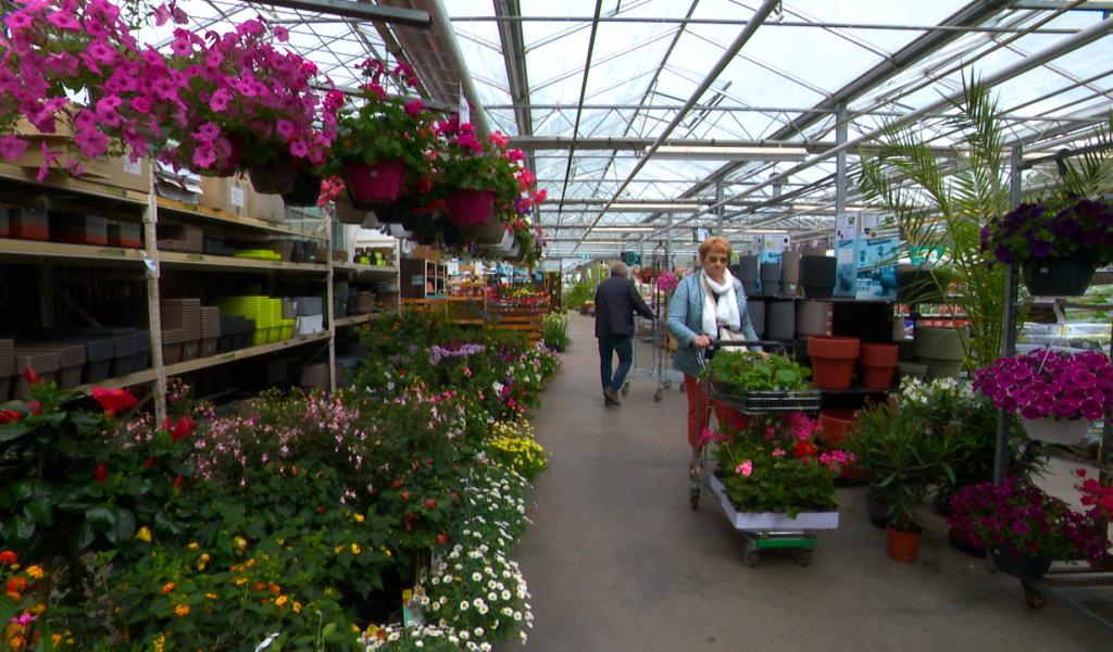 Horticulture : la saison bat son plein