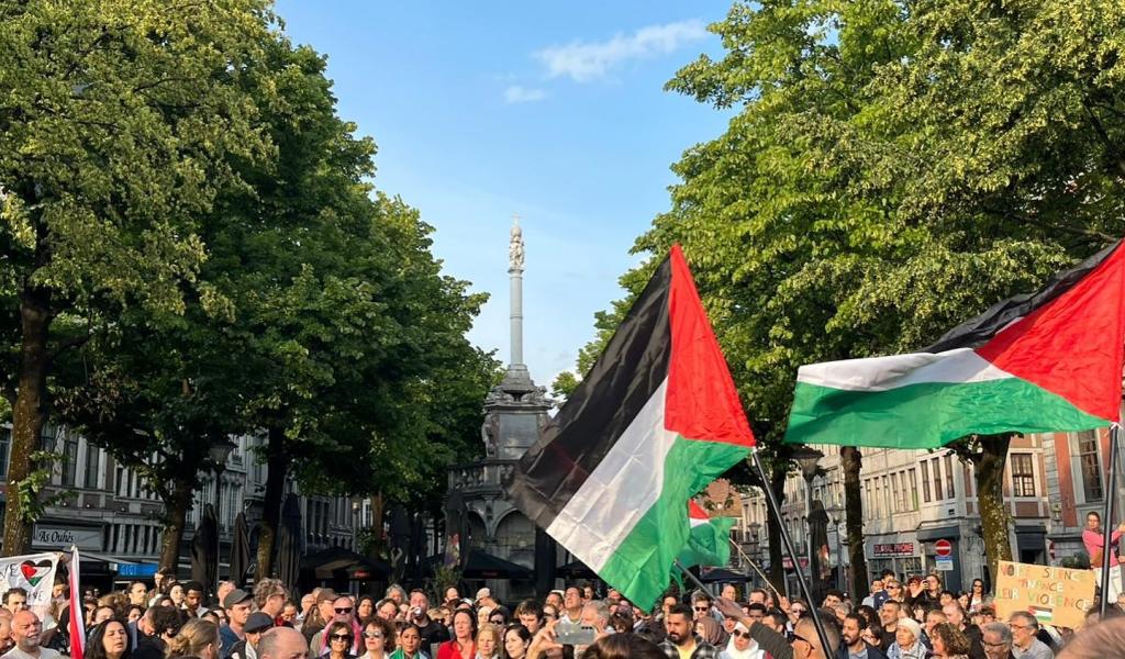 Des centaines de personnes rassemblées face au Perron en faveur de la Palestine