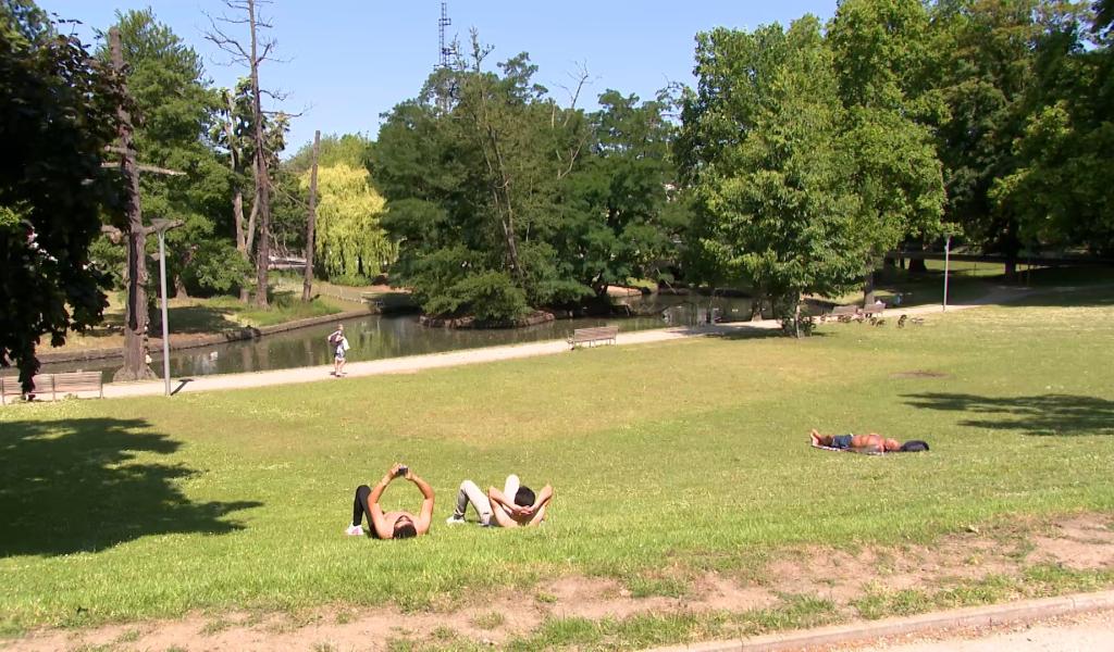 C'est l'été: conseils pour éviter les coups de chaud
