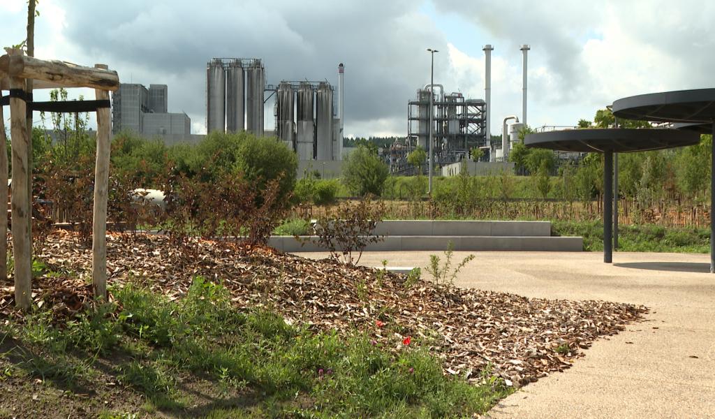 Les Jardins de la Sucrerie: nouvel espace vert de Wanze