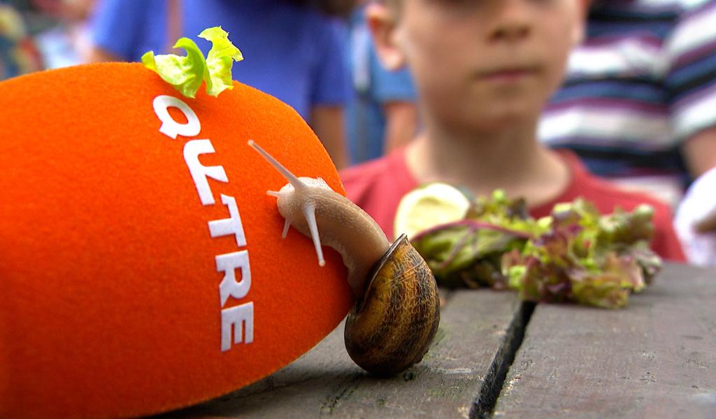 Les escargots font le show pour la fête nationale