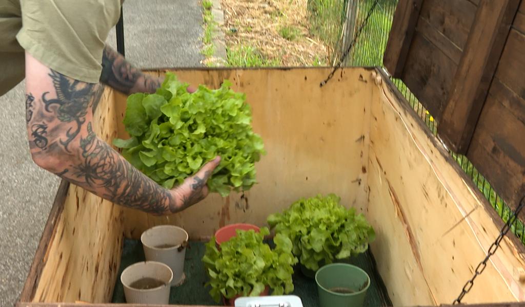À Oupeye, des légumes en libre-service en échange d'un euro