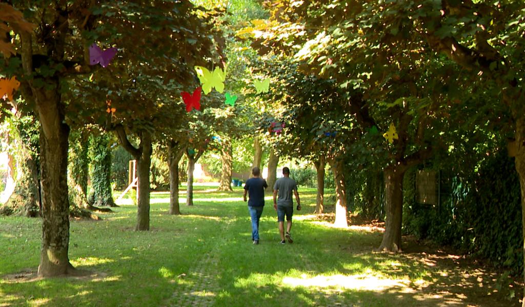 500 papillons dans les rues de Hannut