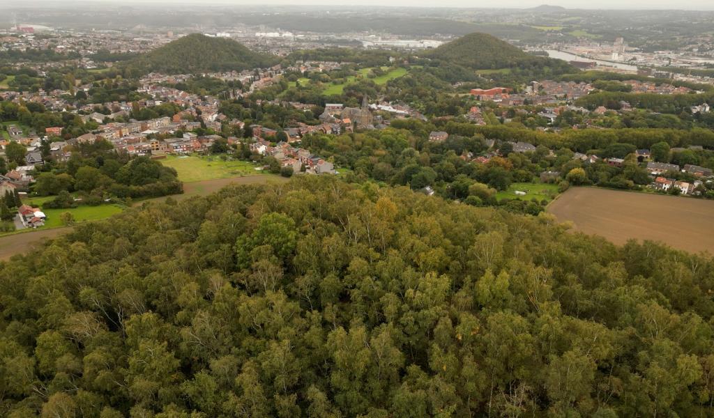 Festival de promenade : petite balade d'un jour ou Grand tour de Liège