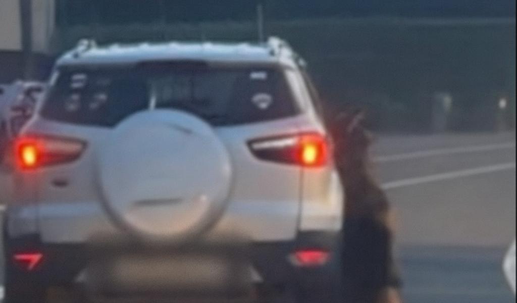Chien traîné par une voiture : l'affaire est classée sans suite