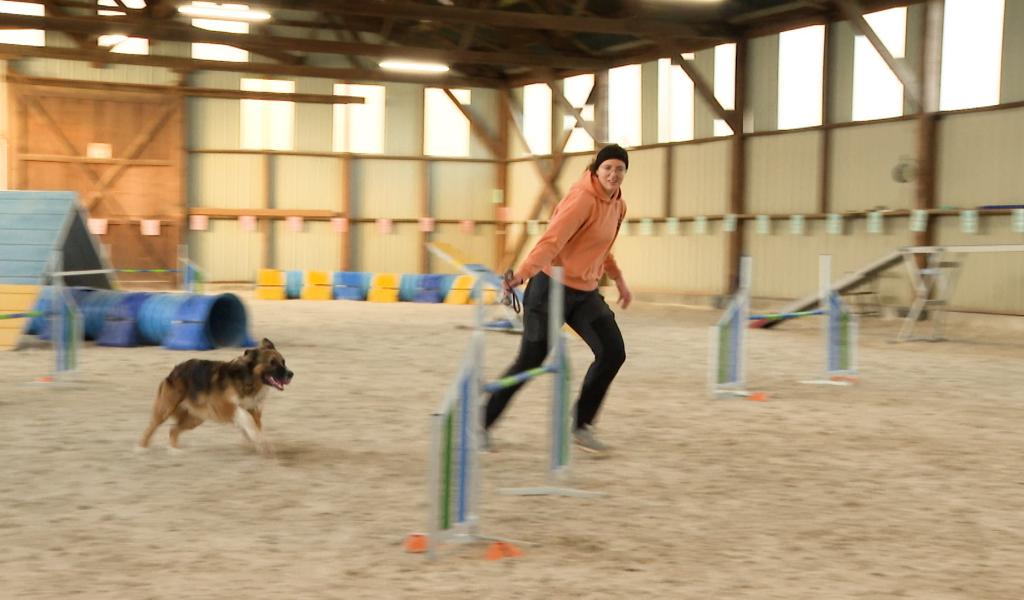 L'agility