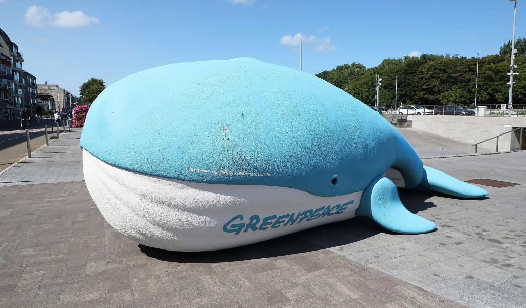 Une baleine bleue de Greenpeace débarque à Liège ce vendredi