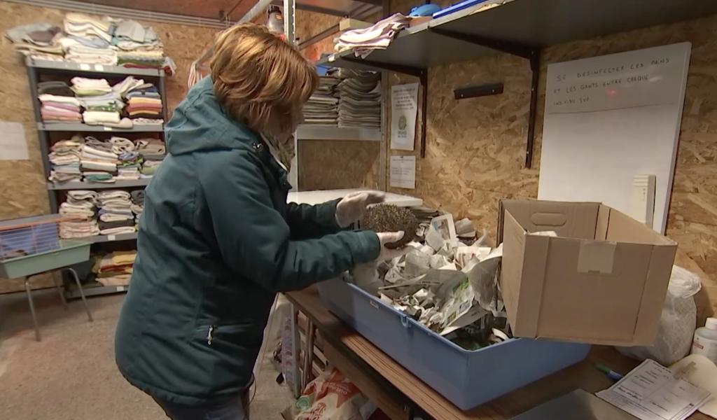 Le Creaves des terrils fermé, c'est l'embouteillage chez les voisins