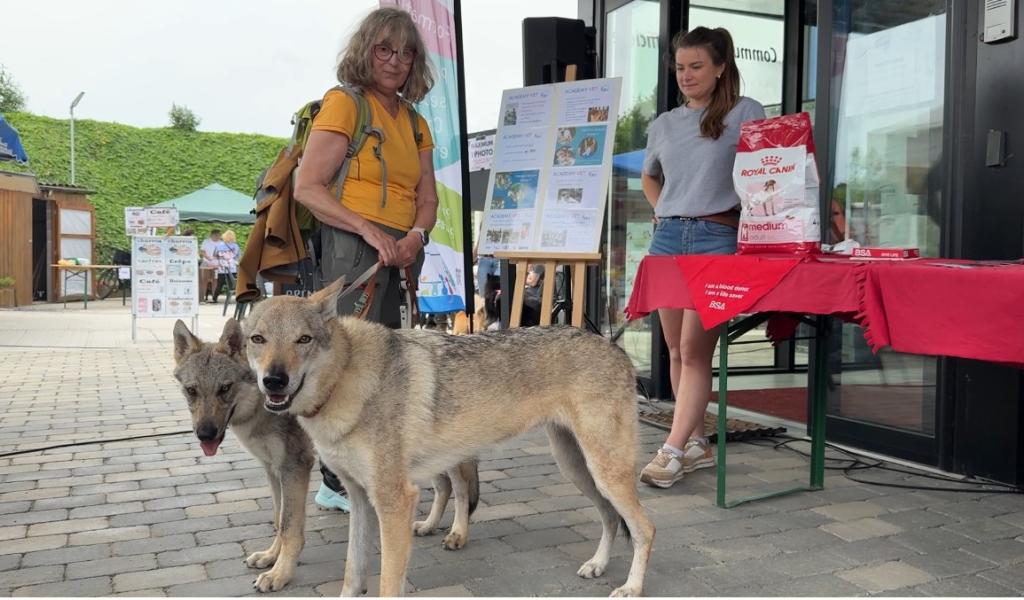 Grand succès pour la 2e édition du Dog Day de Crisnée