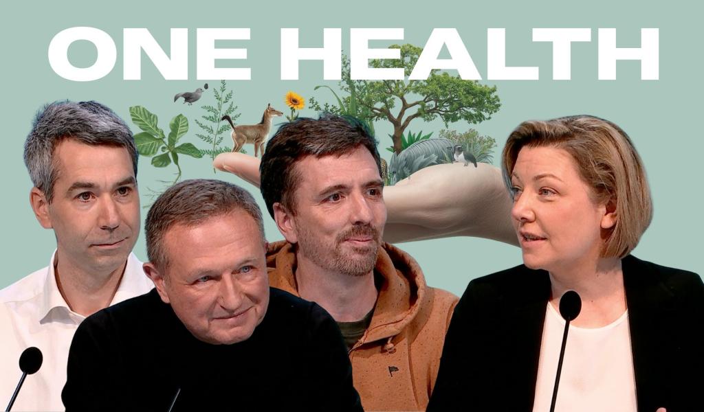 One Health : quand la santé humaine dépend aussi des animaux… et de la planète