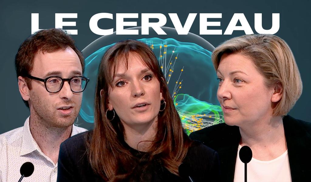 Dans les secrets du cerveau humain