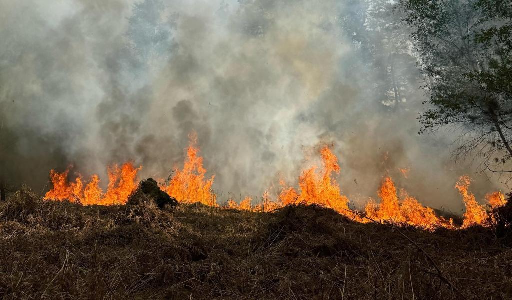 Province : interdiction de feux, barbecues et feux d'artifices