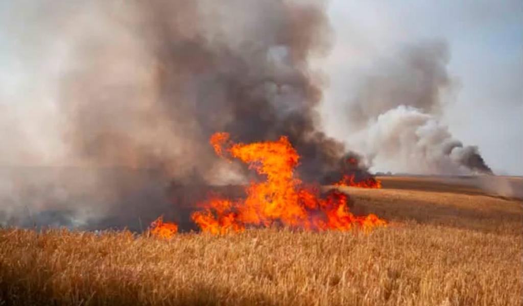 Crisnée : incendie dans les campagnes