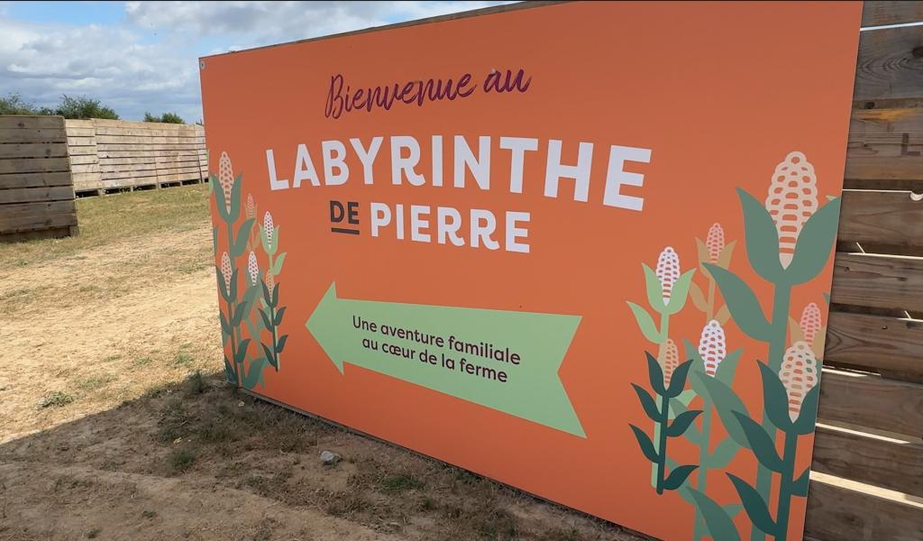 La ferme Le Maire à Verlaine rassemble autour d'un labyrinthe