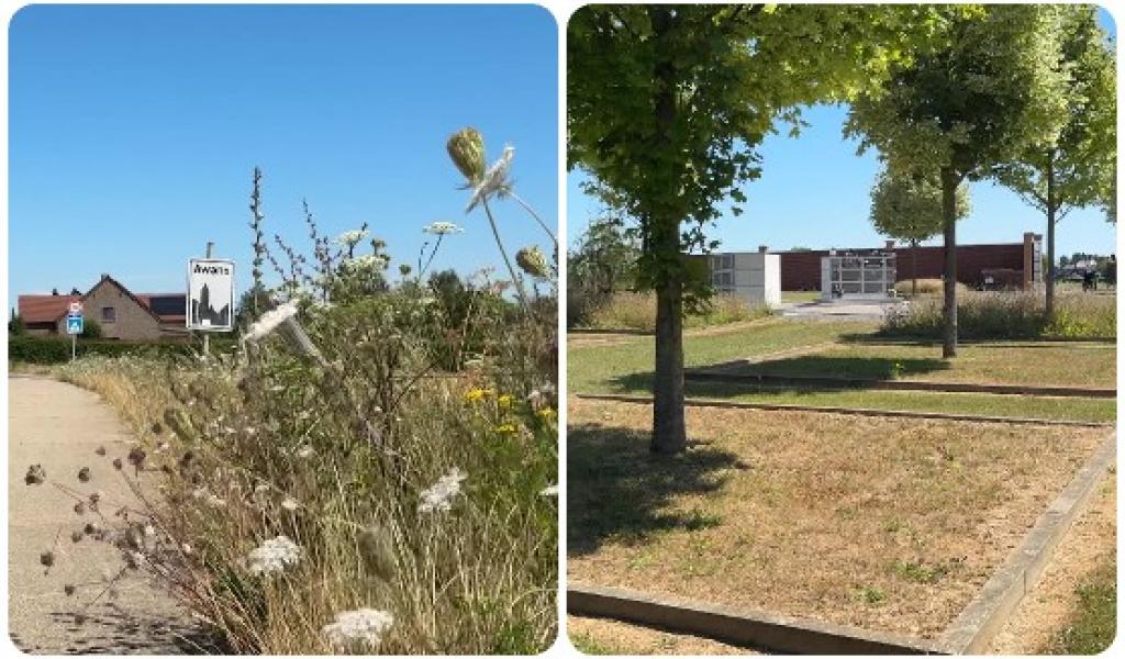 Comment les communes repensent les espaces verts face au changement climatique