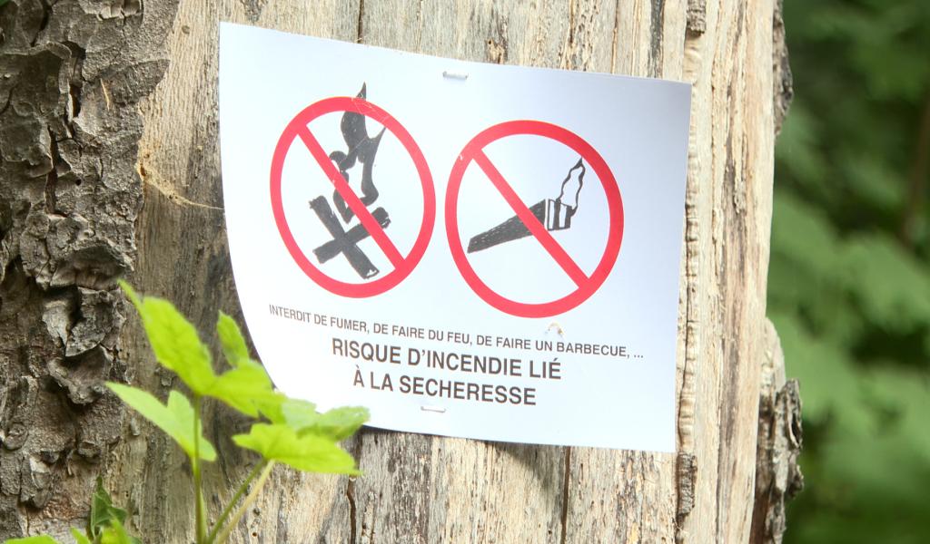 Incendies dans les coteaux : Des mesures de sécurité seront prises rapidement
