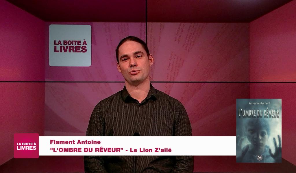 L'ombre du rêveur