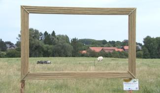 Encadrement en saule pour paysages hesbignons