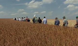 des agriculteurs au milieu d'un champ à  Horion Hozémont