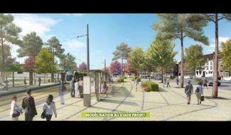 Tram En Commun S2#10 : la question des arbres !