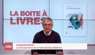 Boite à livres - Bruno Desmaré, La désespérance de la fuite (Fawkes Editions)