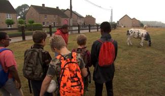 Le golf champêtre ou agrogolf : une activité à découvrir à Faimes!