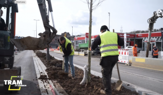 Tram En Commun S5#26 : les premières plantations sur la ligne du tram