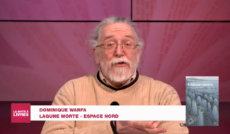 Boite à livres: Dominique Warfa, Lagune morte (Espace Nord)