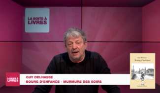 Boite à livres: Guy Delhasse, Bourg d'enfance (Murmure des soirs)