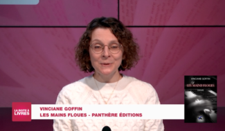 Boite à livres: Vinciane Goffin, les mains floues (Panthère Editions)