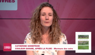 Boite à livres: Catherine Godefroid, Couleur savane, après la pluie (Murmure des soirs)
