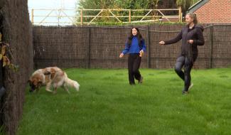 Trucs de wouf : vaincre le stress