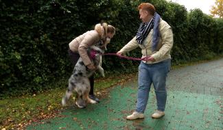 Trucs de wouf : gestion des émotions positives