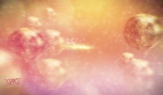 I Love Les Testeurs disco (3/6)