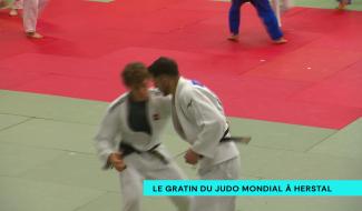 L'élite mondiale du judo à Herstal