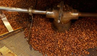 Du café 100% liégeois bientôt en dégustation