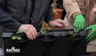 La culture verticale