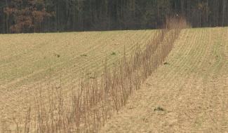 Eau potable : mesures agricoles pour protéger les captages